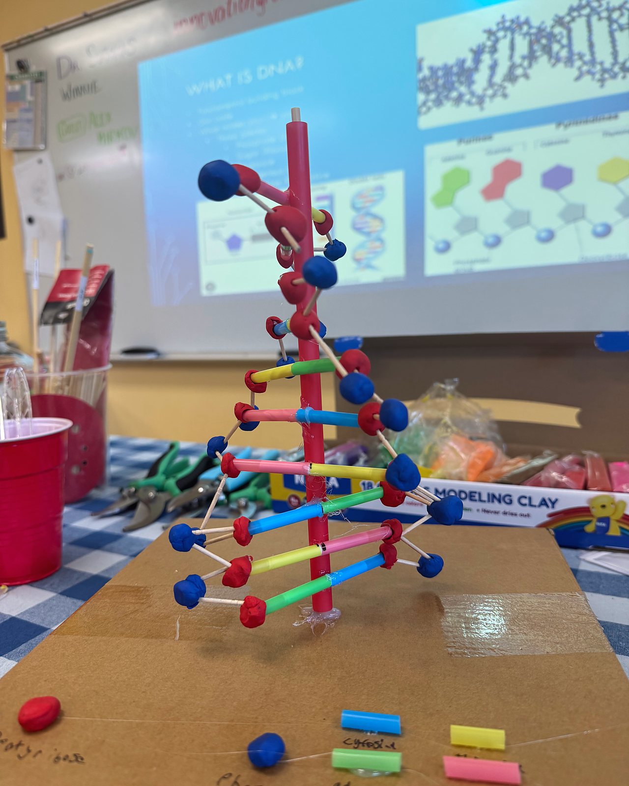 A DNA model built from clay and straws, with the lesson slide behind it